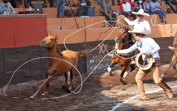 José Antonio Valenzuela cosechó sus tres manganas a pie a la cuenta de Rancho El Gallito-Xico