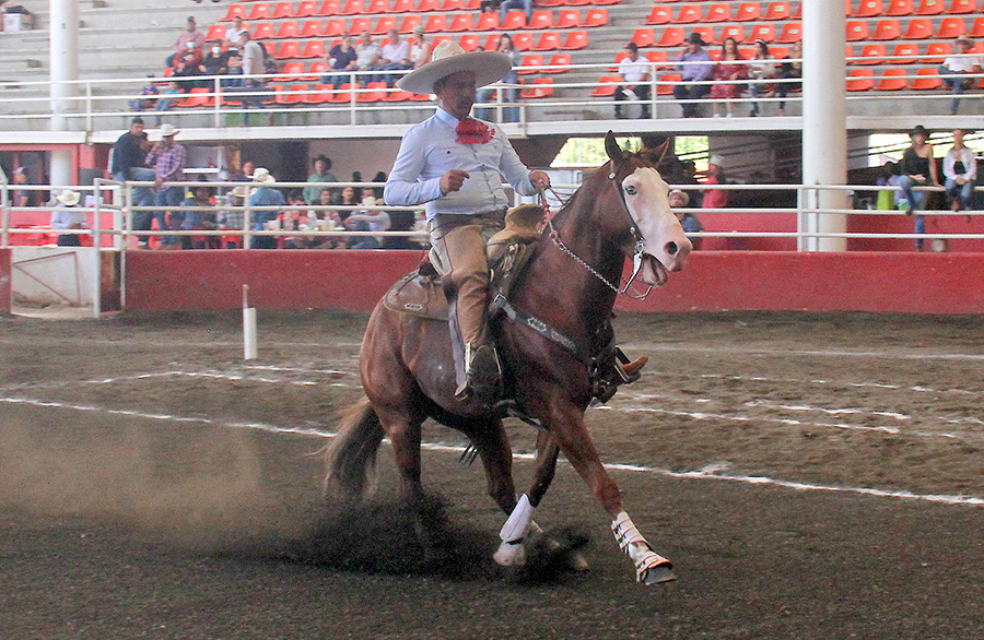 La cabalgadura de Juan Villaseñor rayó 18 metros en dos tiempos durante la cala de caballo de Rancho Las Amazonas