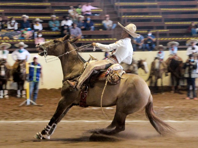 Salvador Sánchez Rubio presentó la cala de caballo por los Charritos de California, en la eliminatoria de equipos infantiles "B"