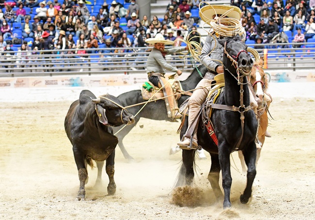 Momento en que Gerardo Barrenechea y Daniel Ríos estiran para derribar al toro durante la terna en el ruedo de Fuerza Mexiquense